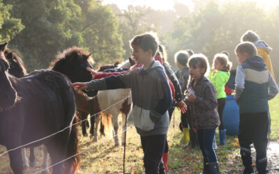 A dada sur mon poney (journée 2)