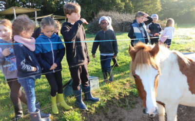 A dada sur mon poney (journée 3)